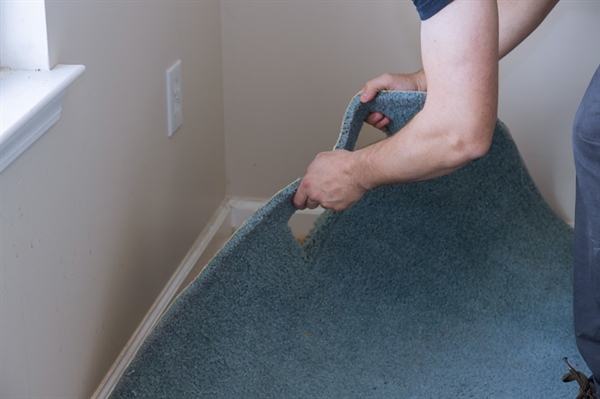 What is the lifespan of different types of carpets?